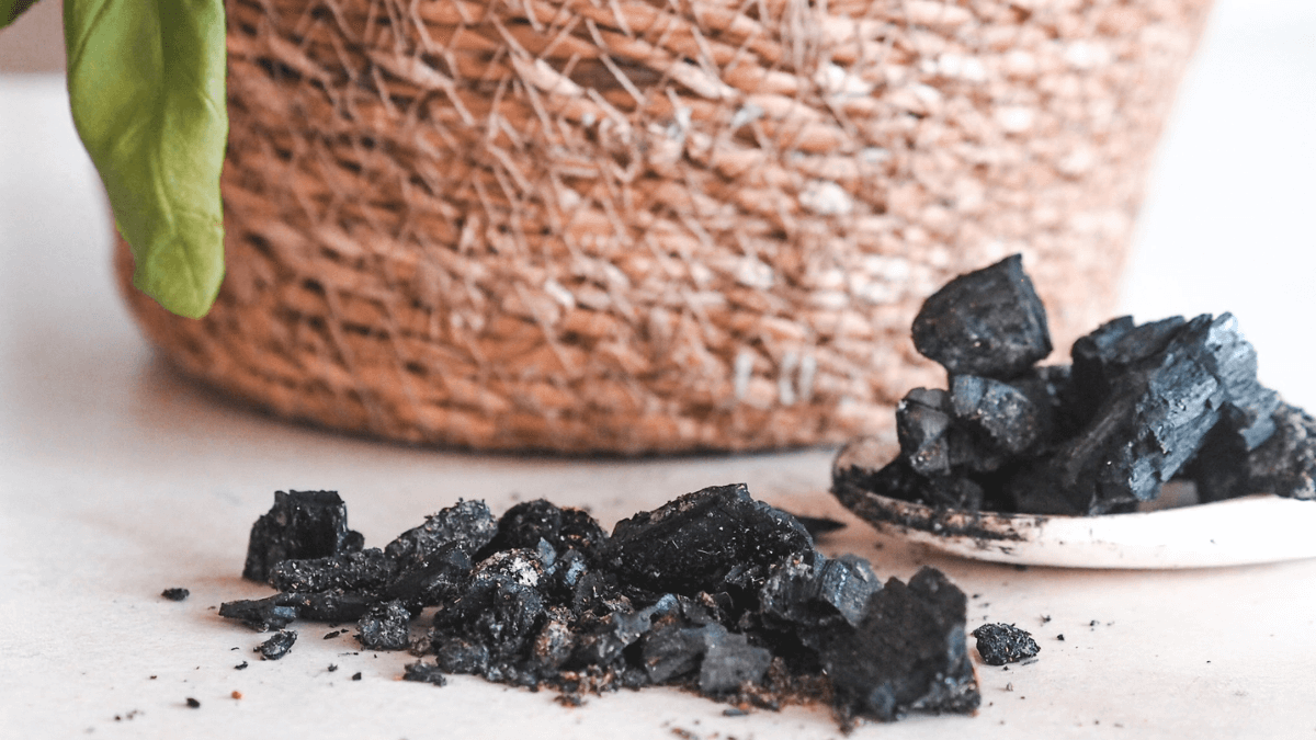 Drevený popol? Ideálne hnojivo!