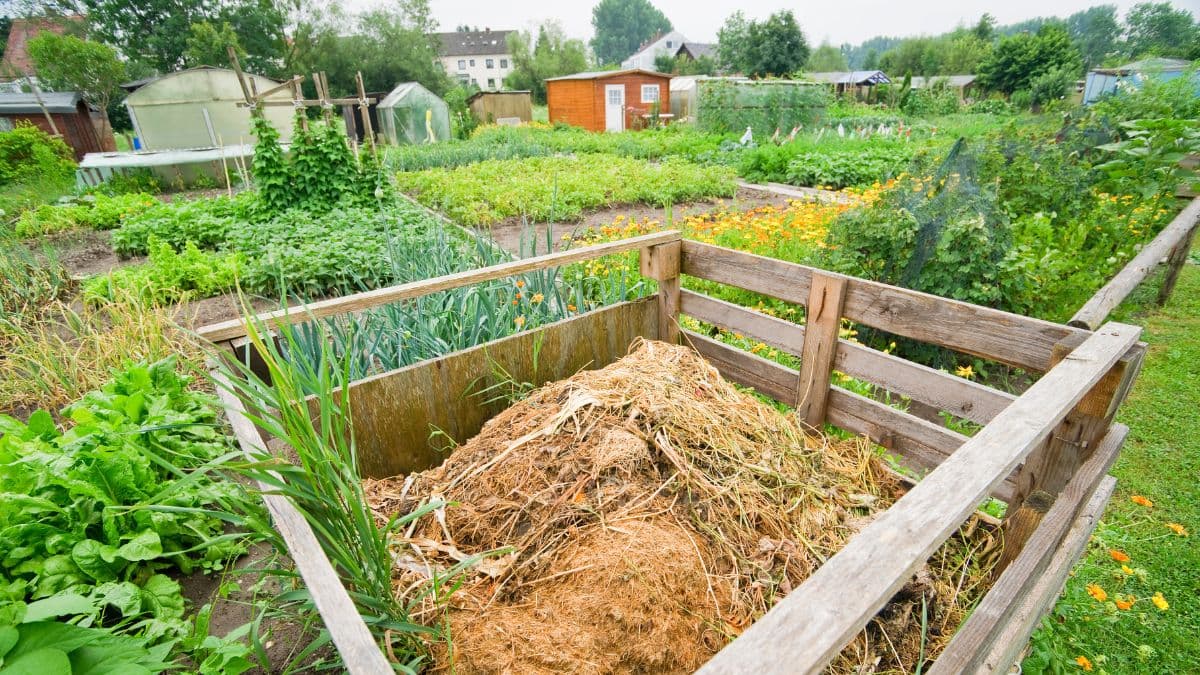 Ako si vyrobiť domáci kompostér: Krok za krokom