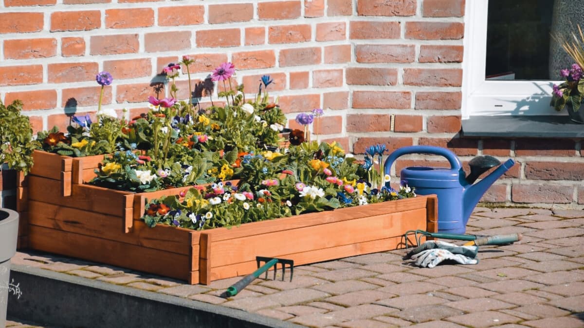 Ako naštartovať záhradu: príprava záhonov na jar