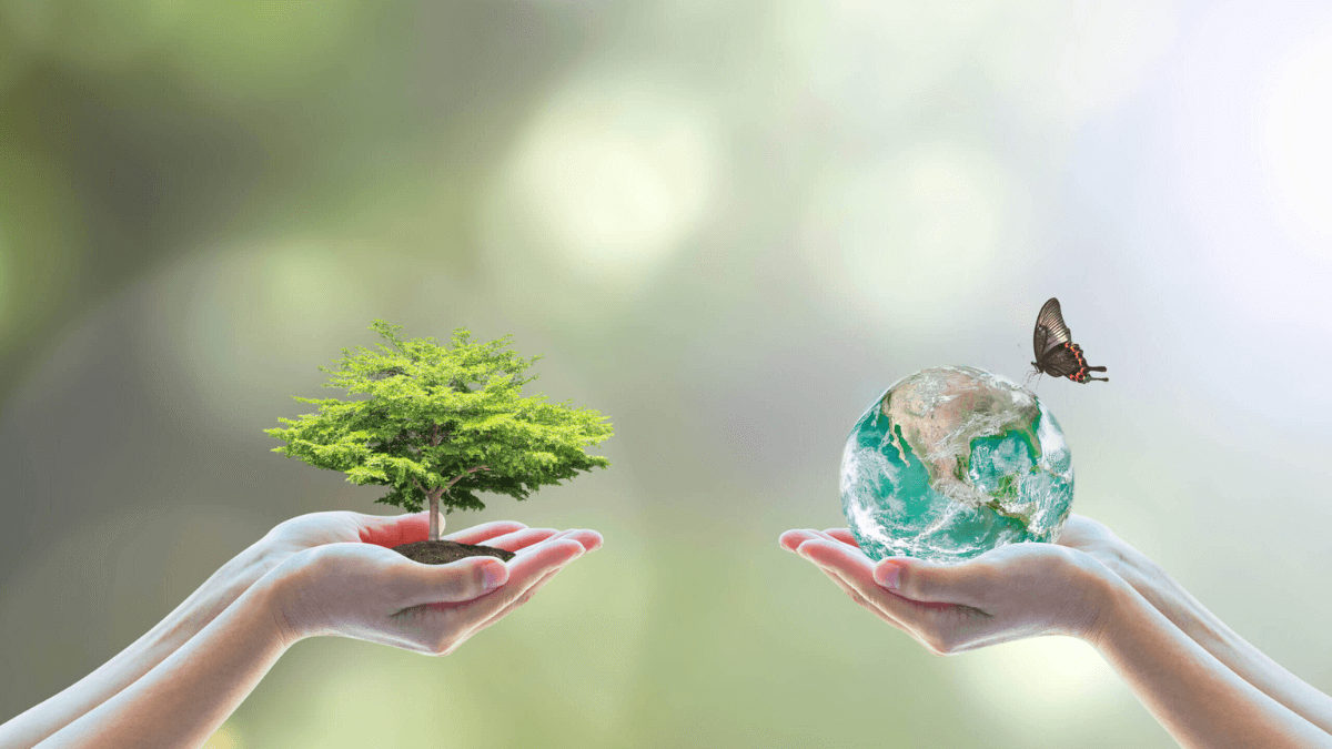 5 dobrých dôvodov, prečo vymeniť plasty za drevo