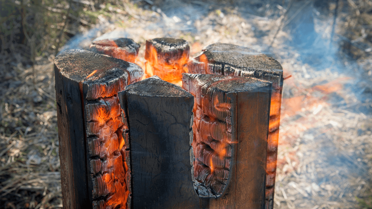 Opekanie špekáčikov v zime? Prečo nie!