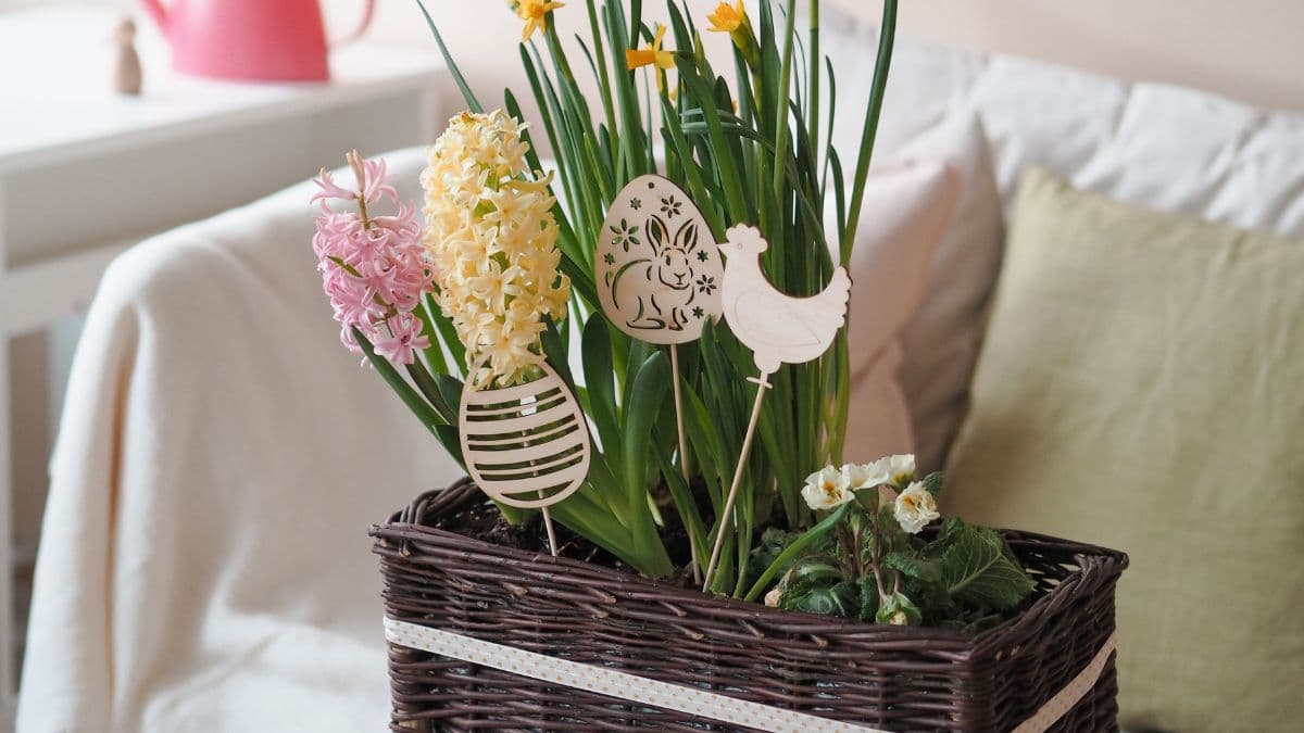 Kvetináče - kedy, ako a čím ich osadiť