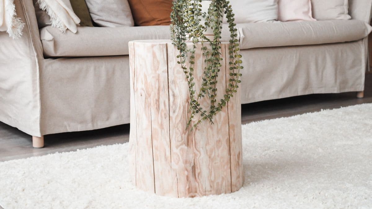 Jaseň: kvalita a moderný dizajn