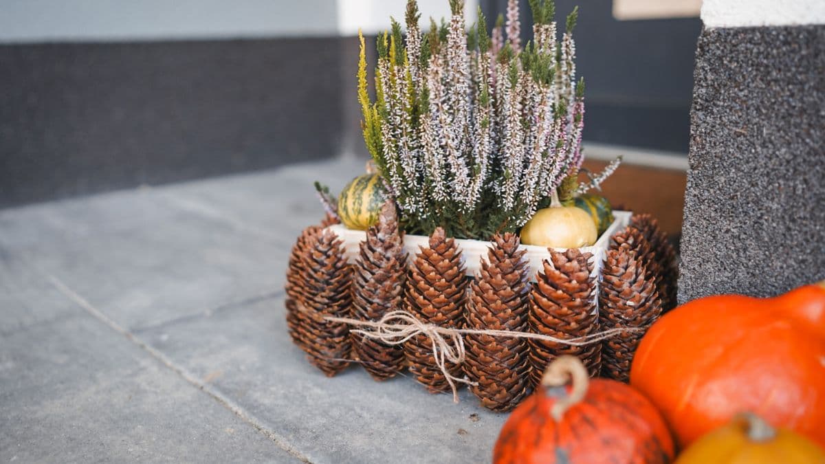 Ako urobiť jesenné kvetináče