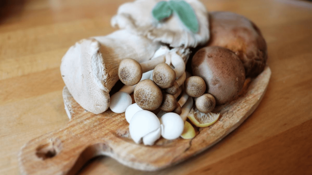 Hubárska sezóna v plnom prúde