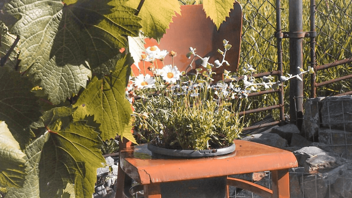 Recyklácia a upcyklacia drevených výrobkov