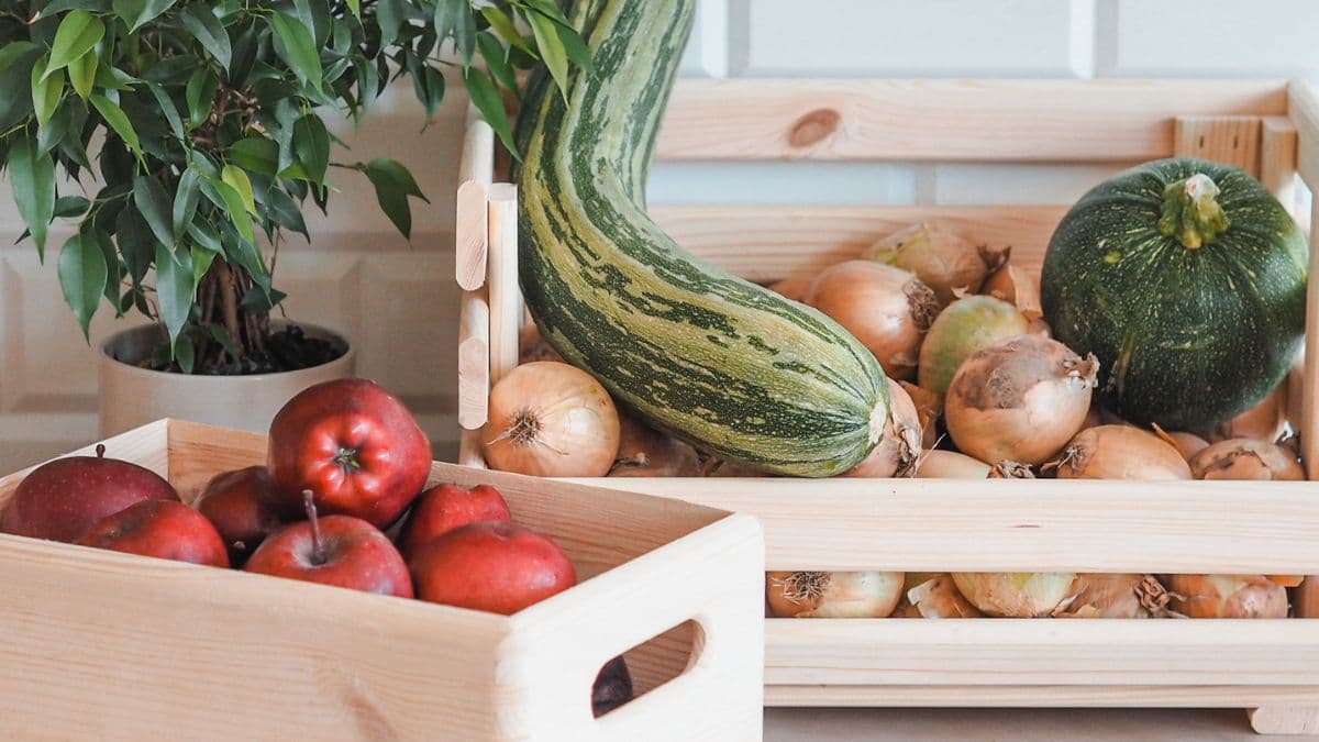 Výhody drevených výrobkov pre uskladnenie vašej úrody