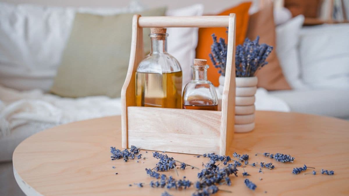 Gumovníkové drevo a jeho význam