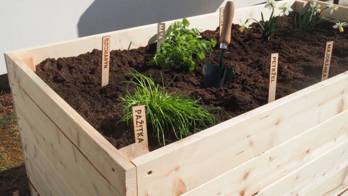 10 tipov ako vybrať ideálne vonkajšie kvetináče a hrantíky pre vašu záhradu