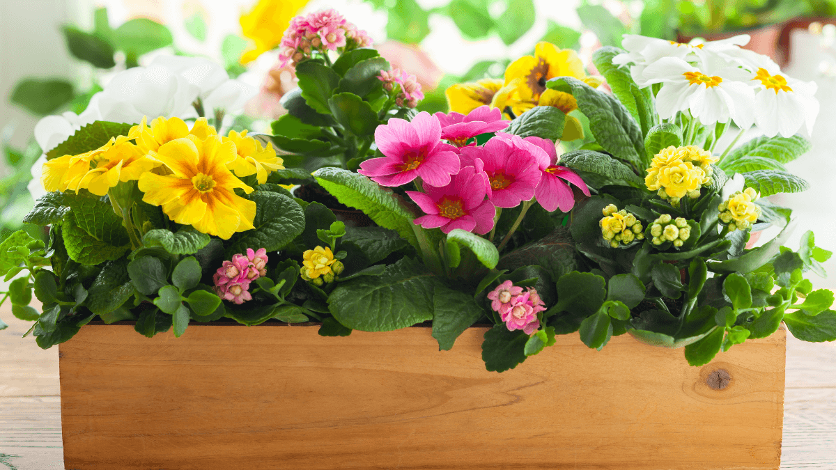 Výroba dreveného kvetináča a hrantíka svojpomocne