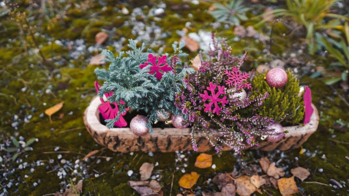 6 jednoduchých krokov k výrobe vianočného kvetináča