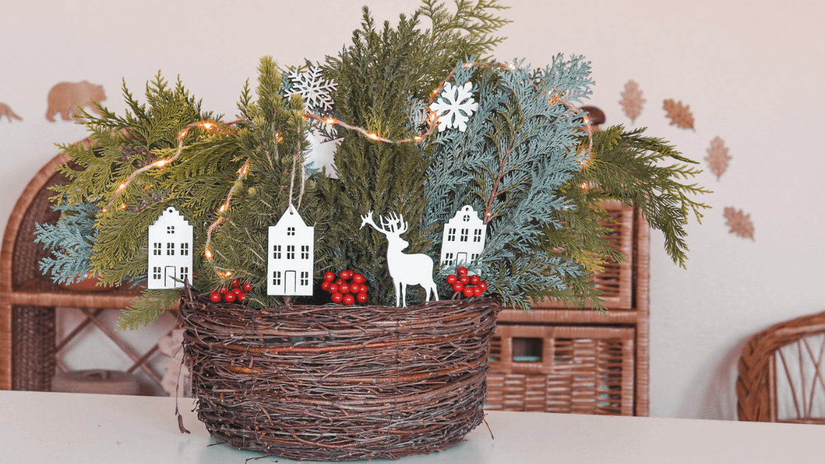 7 tipov, čo si vysadiť v zime do kvetináča