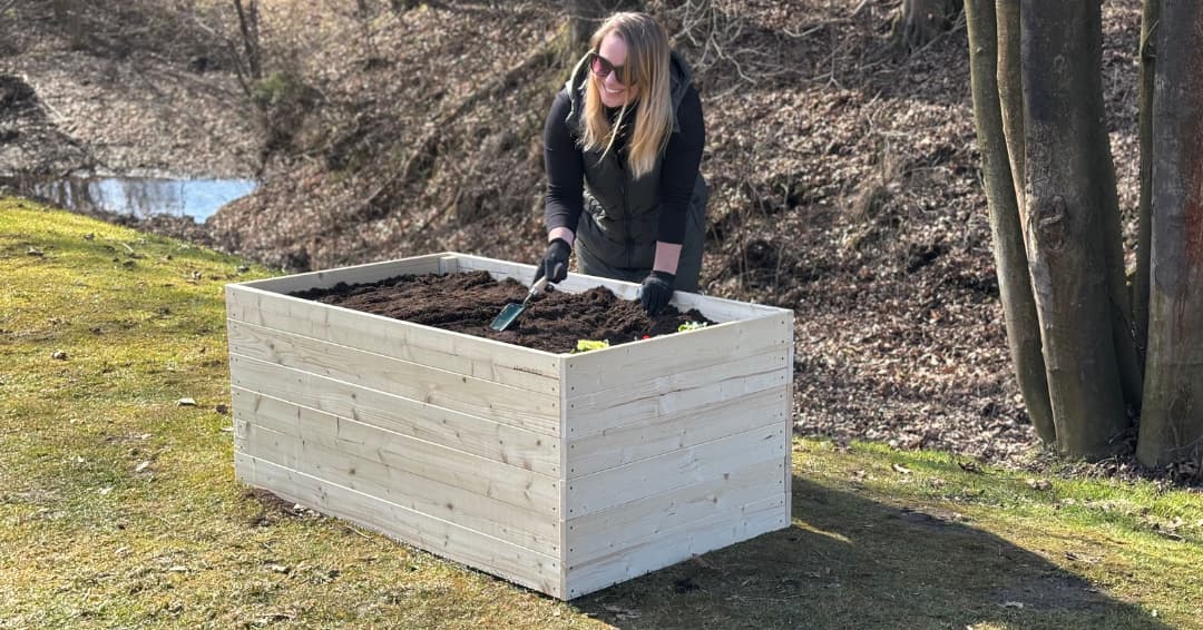 Čo zasadiť v októbri - výsadba a starostlivosť krok za krokom