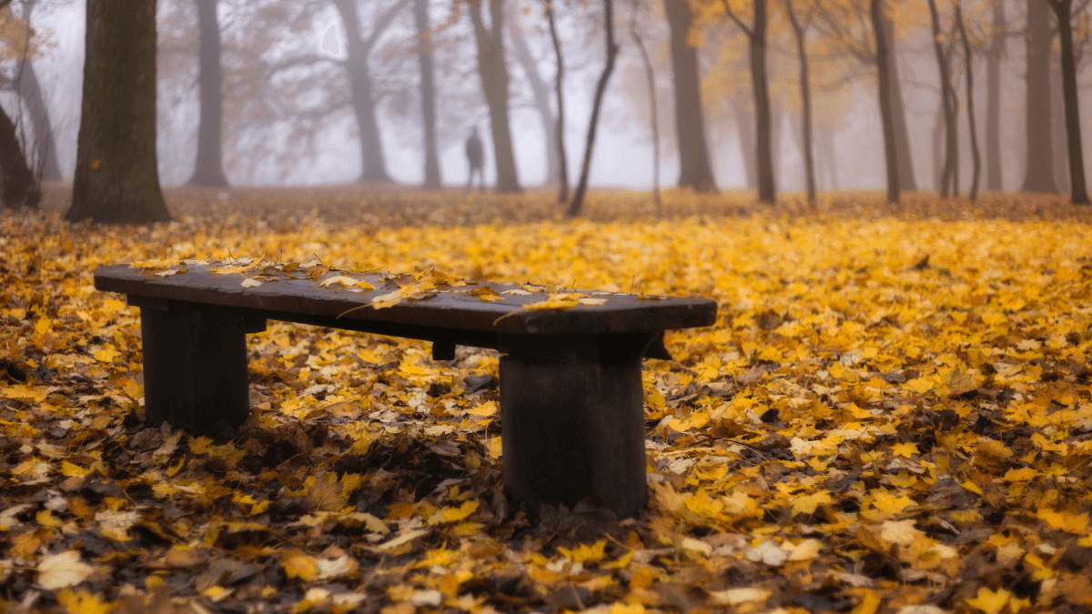 Bojujeme proti jesennej únave