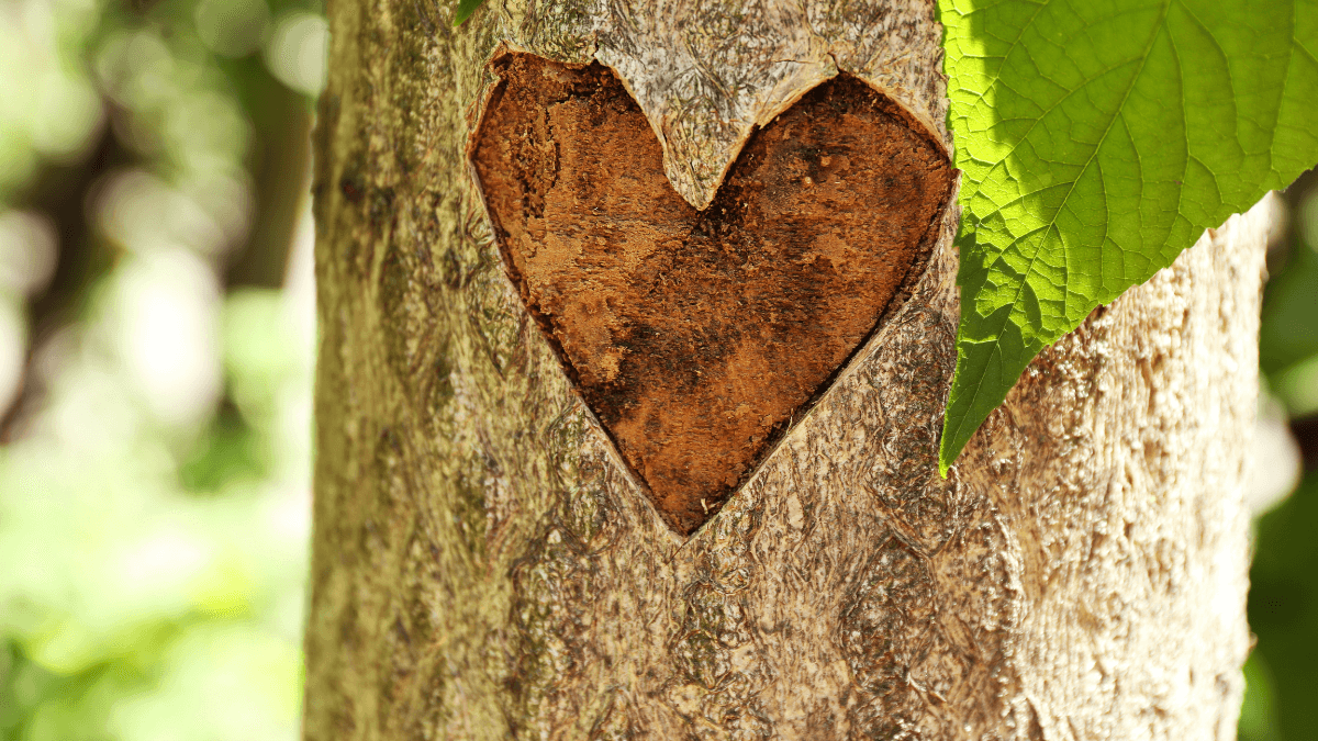 Ručne vyrezávané kúsky z dreva