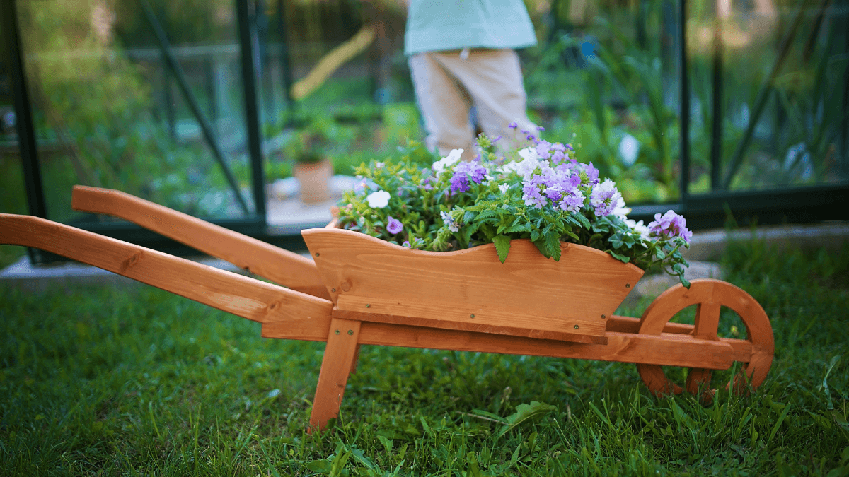 Záhradníkov kalendár, diel 6.: Čo nesmie chýbať na záhrade