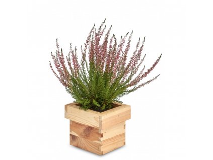 Drevený štvorcový kvetináč 14 x 14 x 12 cm