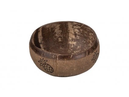 Kokosová miska s ananásom