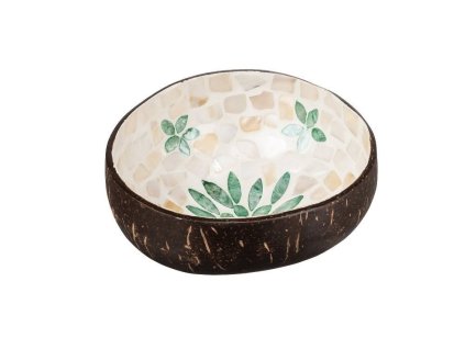 Kokosová miska so zeleným listom