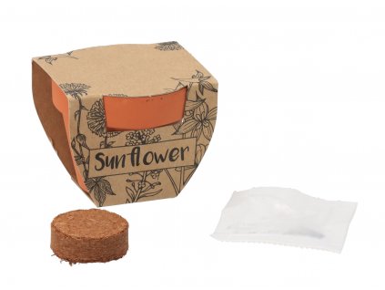 Malý kvetináč so semienkami slnečnice