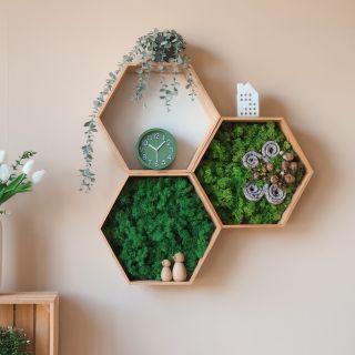 Novinka! 👀 Naše mechové hexagony kombinují krásu stabilizovaného mechu s moderním designem, a to bez nutnosti údržby. ✅...