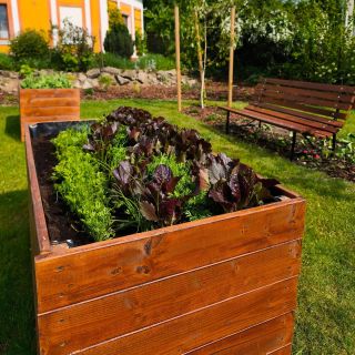 Víte, že sezóna na zahradě nekončí s létem? 🍂 Září je ideální čas na sklizeň, výsevy i přípravu půdy na zimu. 😊 Ještě teď...